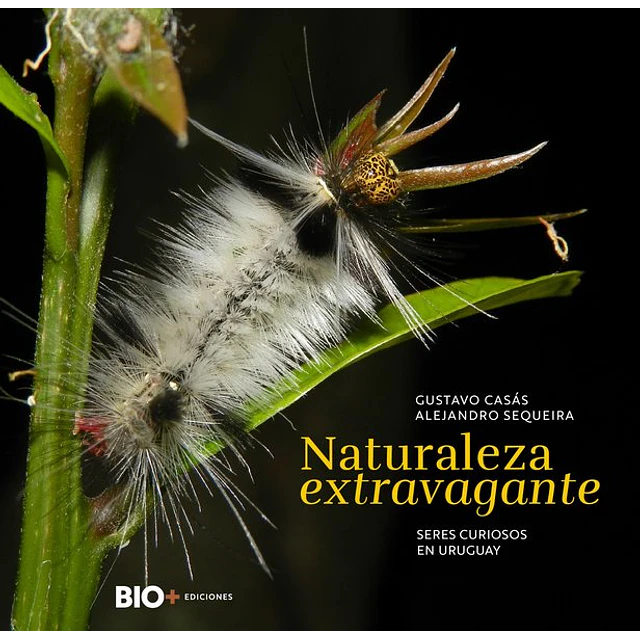 Naturaleza extravagante