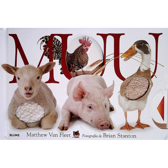 Muu