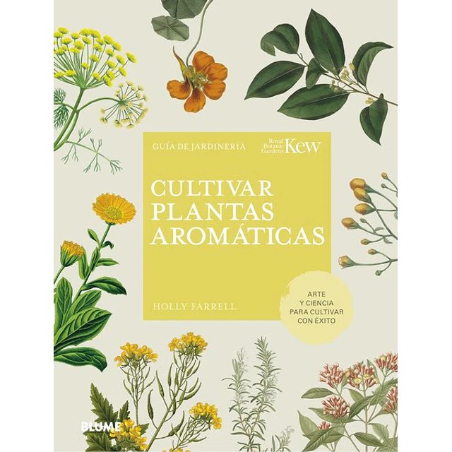 Cultivar plantas aromaticas