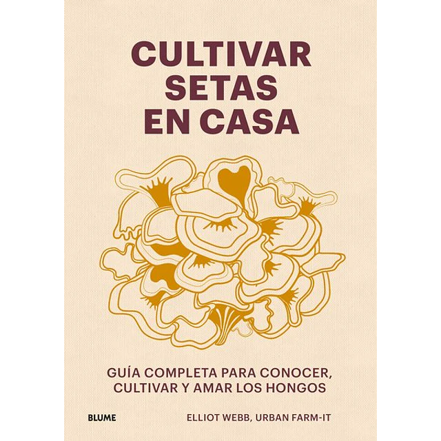 Cultivar setas en casa