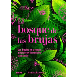 El bosque de las brujas