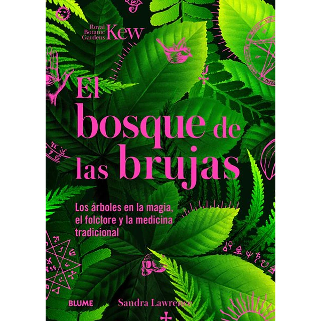 El bosque de las brujas