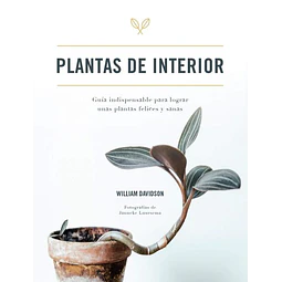 Plantas de interior