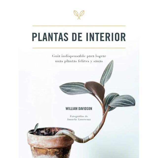Plantas de interior