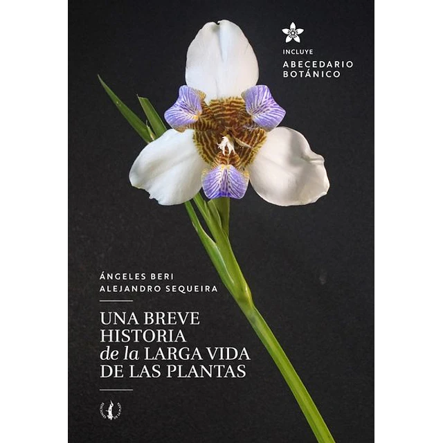 Una breve historia de la larga vida de las plantas