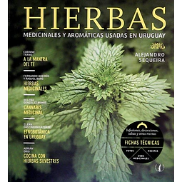 Hierbas