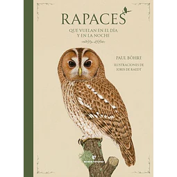 Rapaces que vuelan en el dia y en la noche