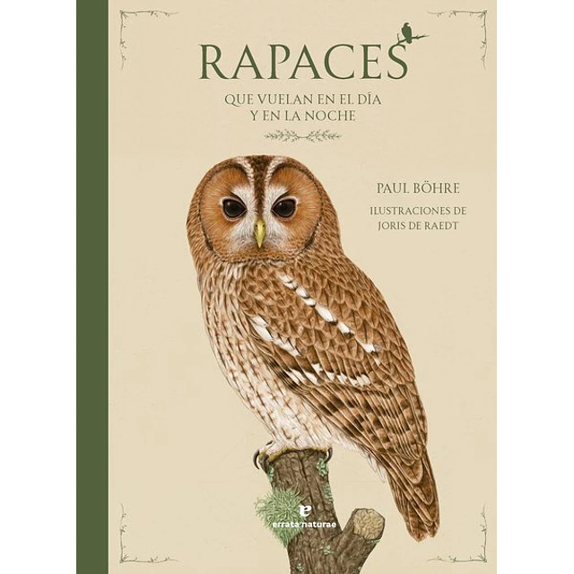 Rapaces que vuelan en el dia y en la noche