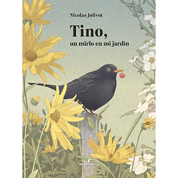 Tino un mirlo en mi jardin