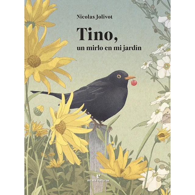 Tino un mirlo en mi jardin
