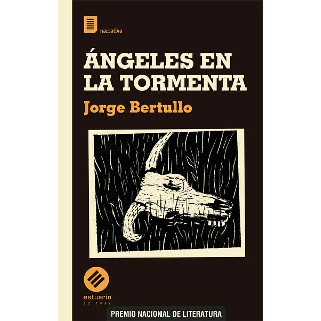 Angeles en la tormenta