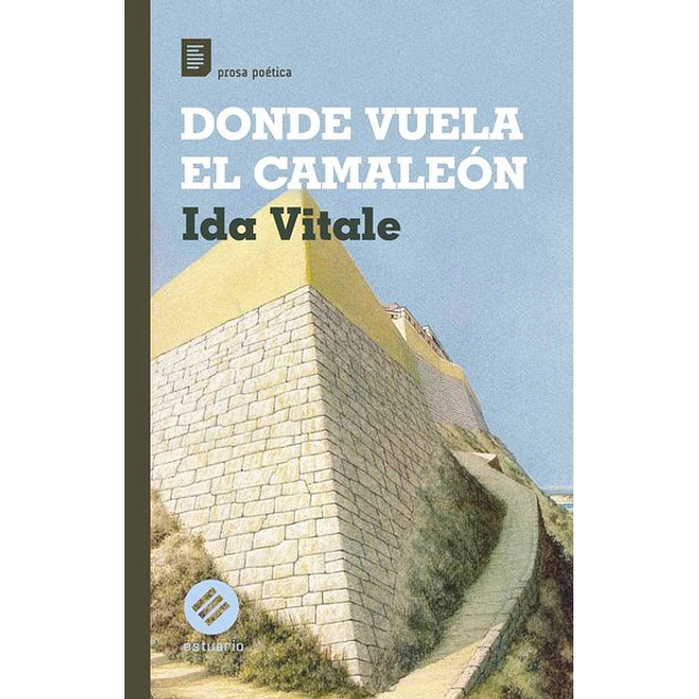Donde vuela el camaleon