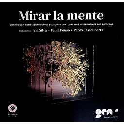 Mirar la mente