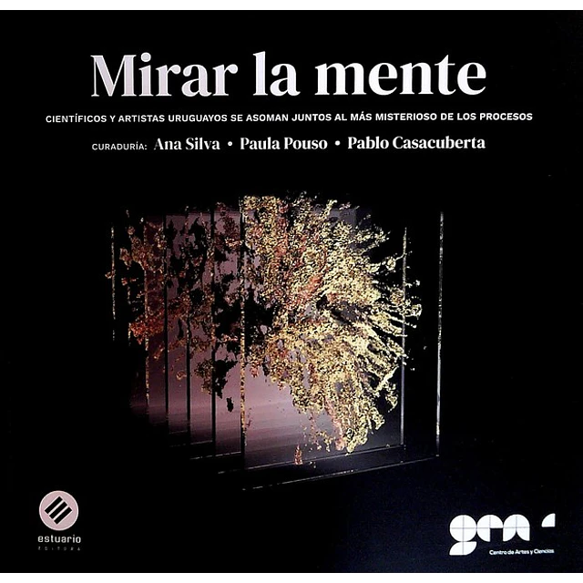 Mirar la mente