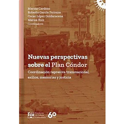 Nuevas perspectivas sobre el plan cóndor