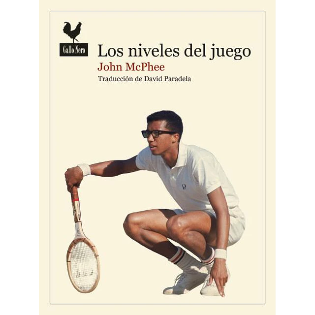Los niveles del juego