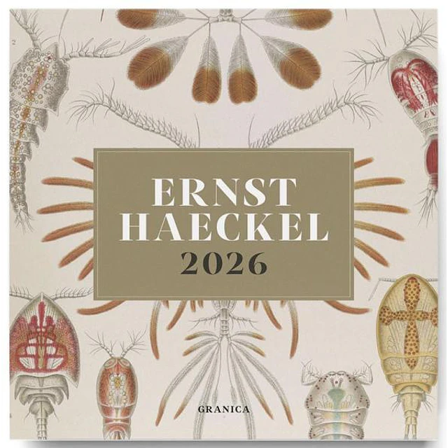 Ernst haeckel 2026. Calendario pared