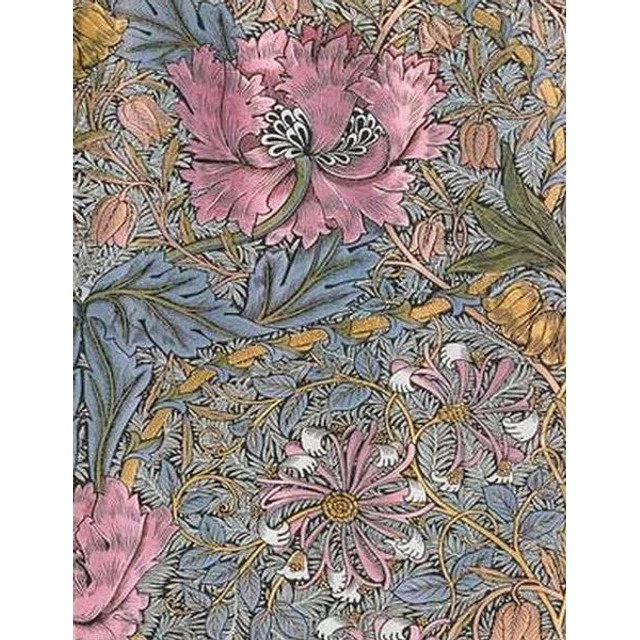 Morris madreselva rosa ultra renglones