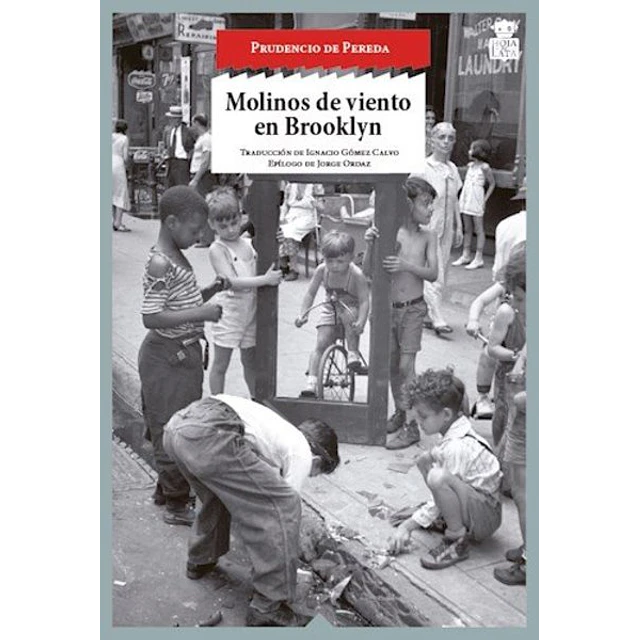 Molinos de viento en brooklyn