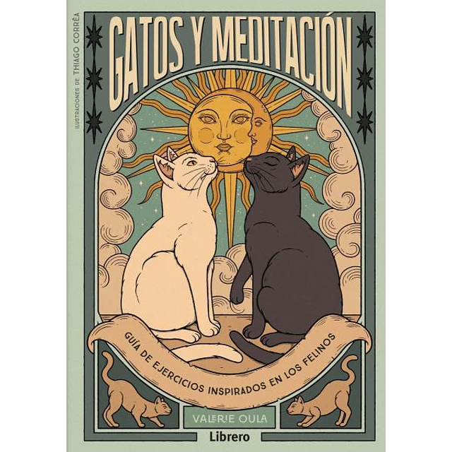 Gatos y meditacion