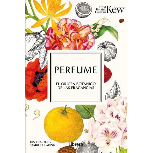 Perfume
