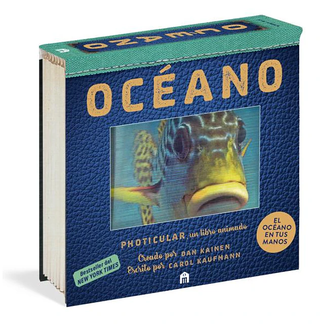 Oceano