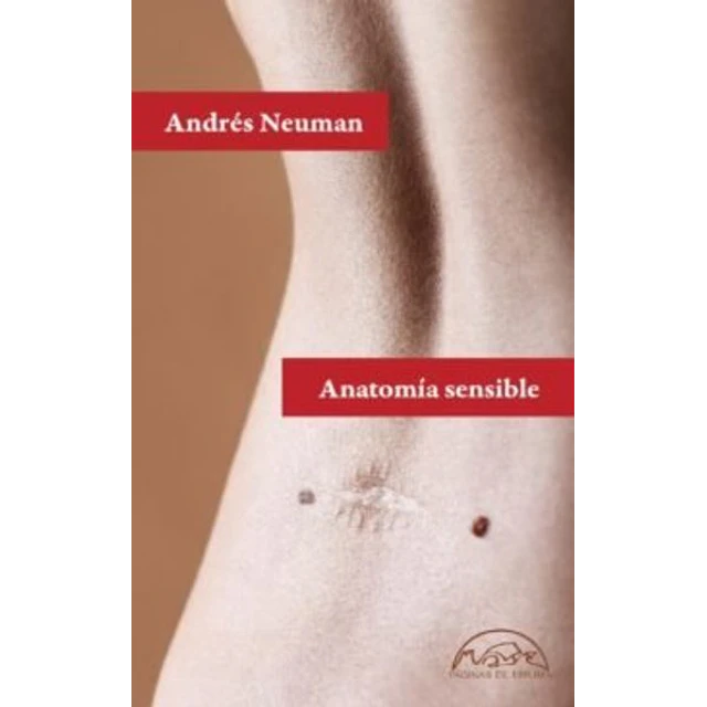 Anatomia sensible