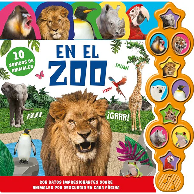 10 sonidos de animales | en el zoo