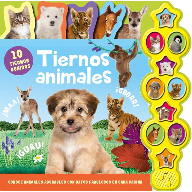 10 sonidos de animales | tiernos animales