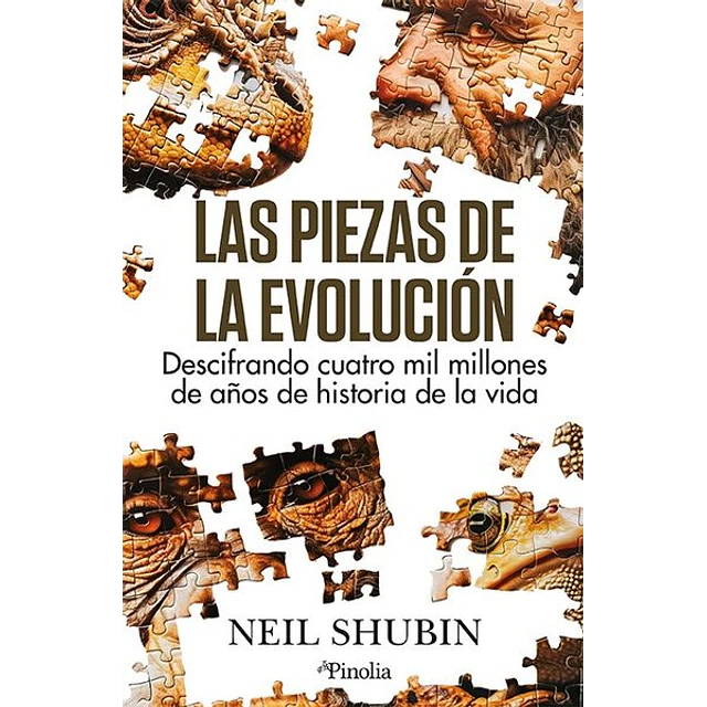 Las piezas de la evolucion