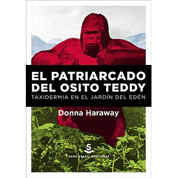 El patriarcado del osito teddy