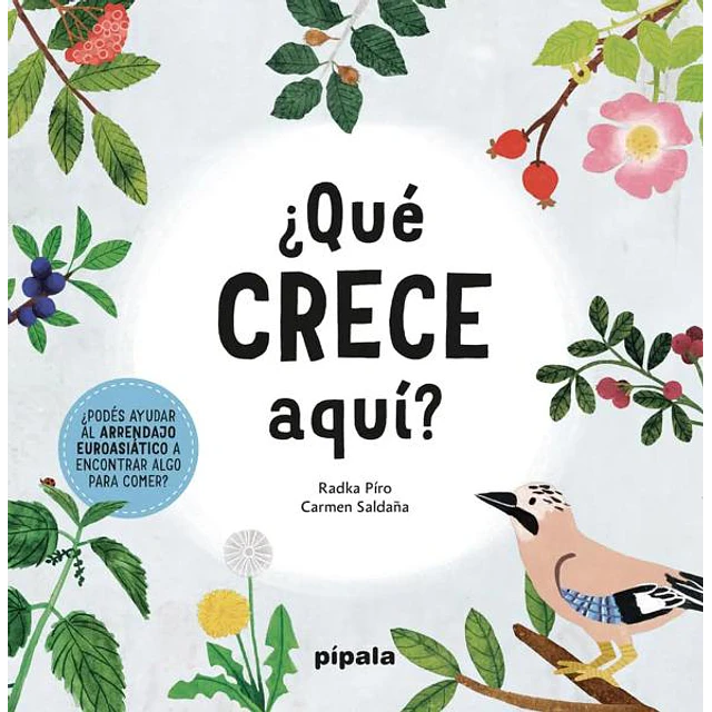 ¿Que crece aqui?