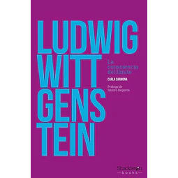 Ludwig wittgenstein. La consciencia del limite