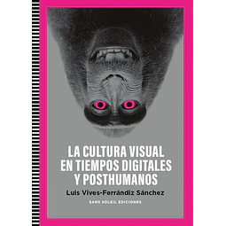 La cultura visual en tiempos digitales y posthumanos