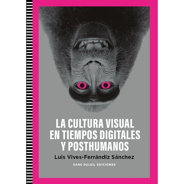 La cultura visual en tiempos digitales y posthumanos