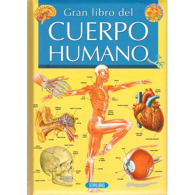 Gran libro del cuerpo humano