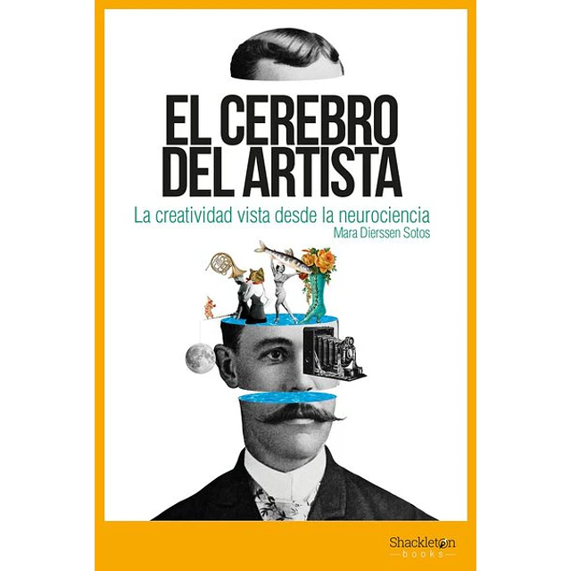 El cerebro del artista