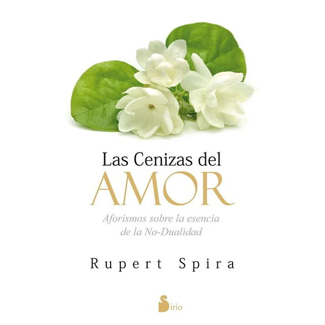 Las cenizas del amor