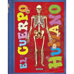 El cuerpo humano