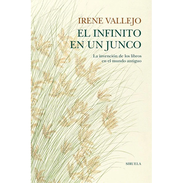 El infinito en un junco