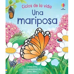 Una mariposa,. Ciclos de vida