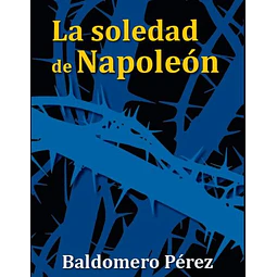 La soledad de napoleón