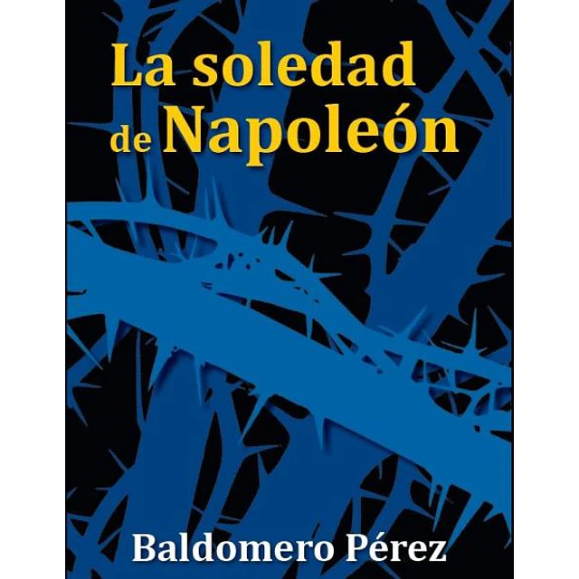 La soledad de napoleón