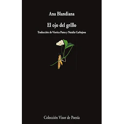 El ojo del grillo