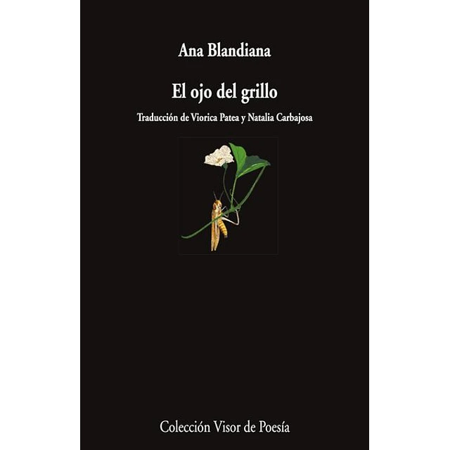 El ojo del grillo