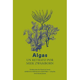 Algas