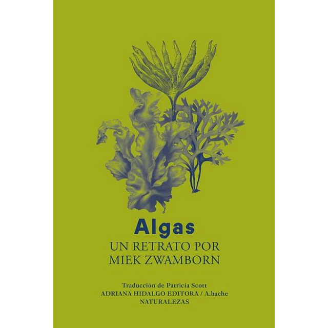 Algas