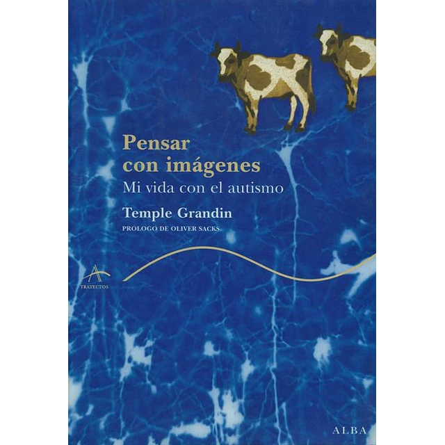 Pensar con imagenes