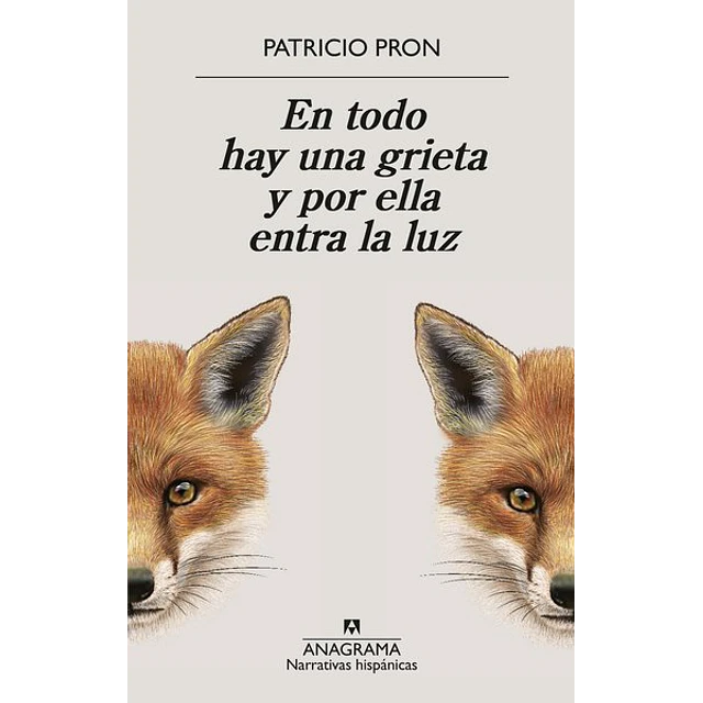 En todo hay una grieta y por ella entra la luz