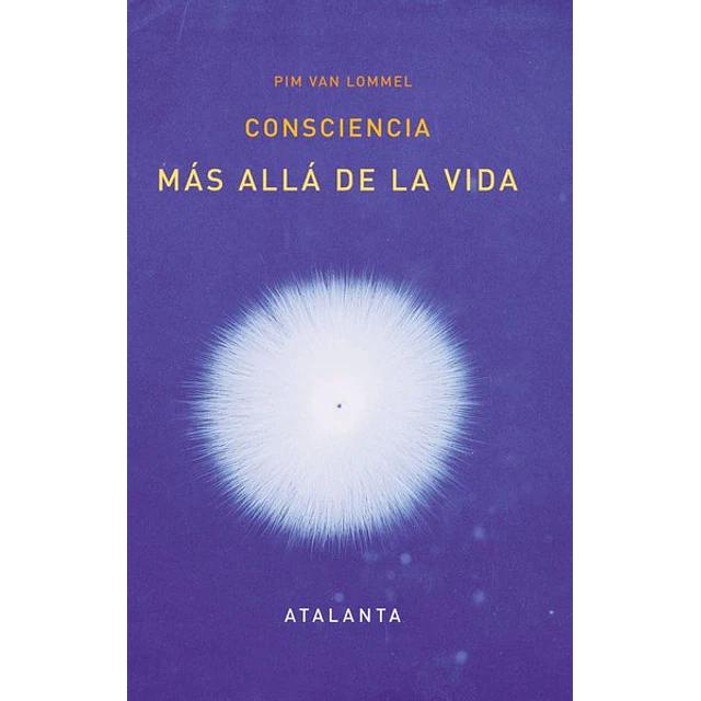 Consciencia mas alla de la vida